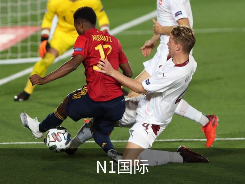N1国际介绍